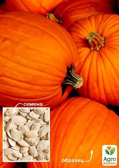 Тыква "Бочка меда" ТМ "Весна" 100г