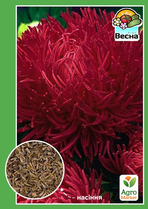 Айстра "Шиншила" червона ТМ "Весна" 0.2г