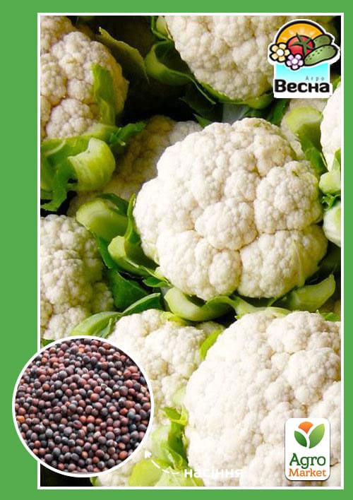 Капуста цветная "Снежный гигант" ТМ "Весна" 0.3г