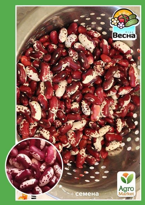 Фасоль "Скороспелка" (Большой пакет) ТМ "Весна" 8г