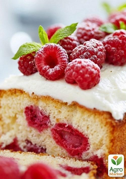 Эксклюзив! Малина красная "Шедевр" (Masterpiece) (американская селекция, премиальный высокоурожайный сорт) - фото 5