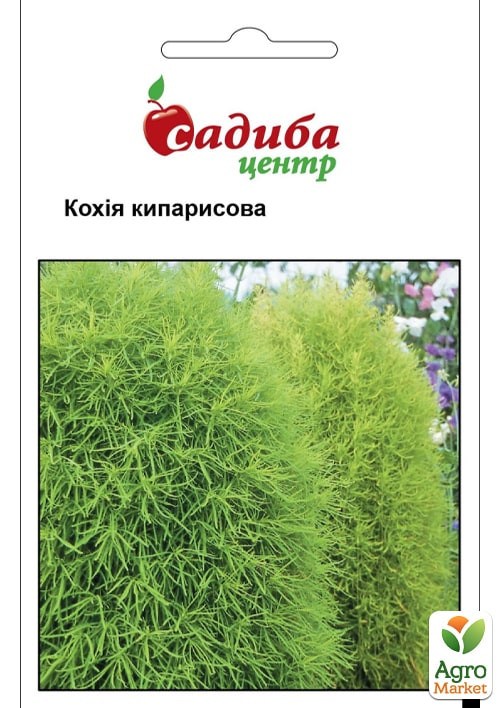 Кохия кипарисовая ТМ "Садиба центр" 0.5г
