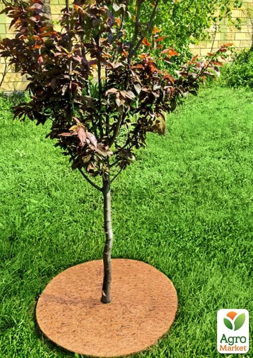 Пристовбурове коло EuroCocos з кокосового волокна d-50 см - фото 3