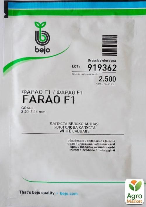 Капуста "Фарао F1" ТМ "Bejo" 2500шт