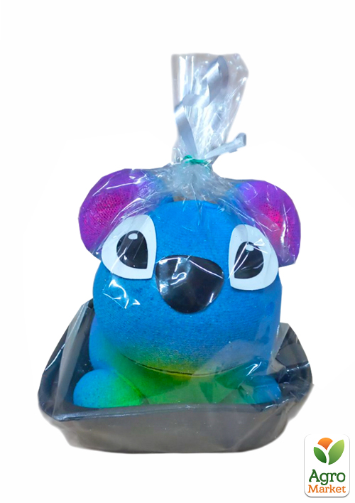 Набір для вирощування Трав'янчик Стіч - фото 2