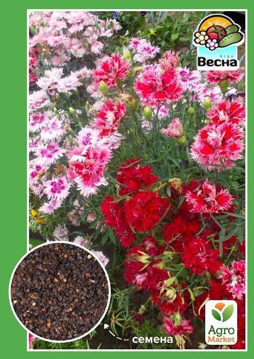 Гвоздика перистая "Махровая смесь" ТМ "Весна" 0.3г