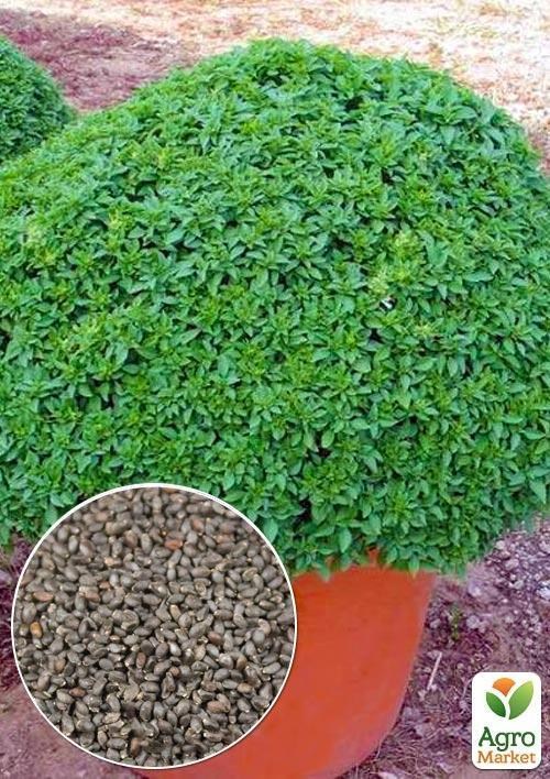 На развес Базилик зеленый шаровидный ТМ "Весна" цена за 3г