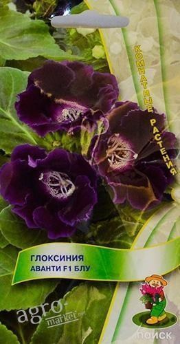 Глоксиния "Аванти F1 блу" ТМ "Поиск" 5шт