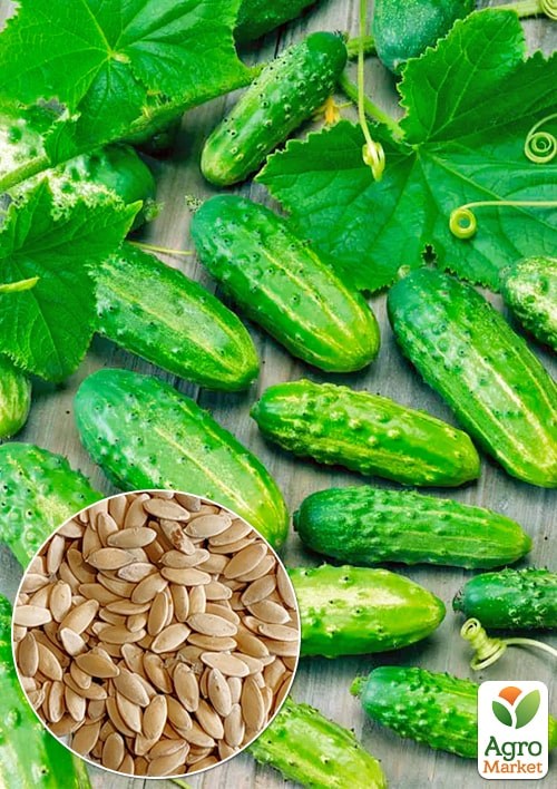 Огірок "Форум F1" ТМ "Весна" 0.2г