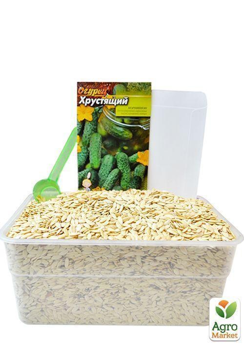 На вагу Огірок "Хрусткий" ТМ "Весна" ціна за 5г - фото 3
