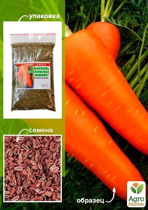 Морква "Московська зимова" ТМ "Весна" 100г