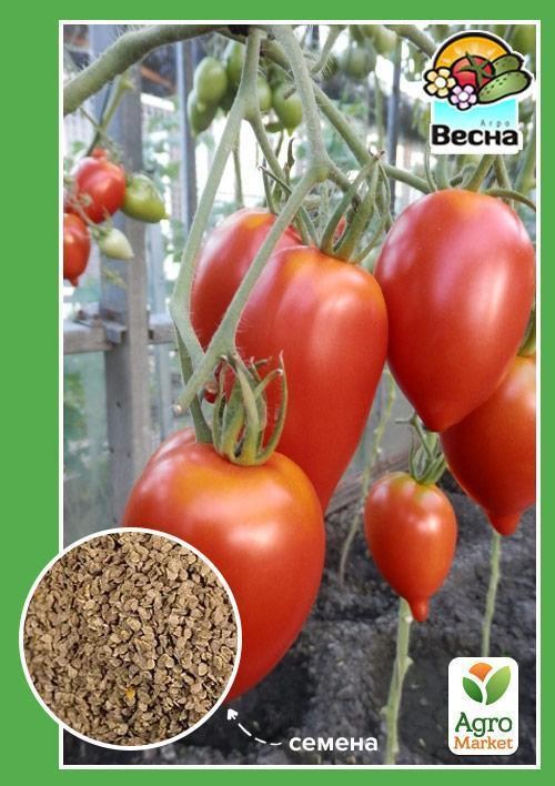 Томат "Надежда Тарасенко" ТМ "Весна" 0.1г