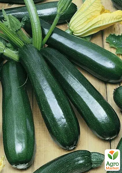 Кабачок "Неро ди Милано" (Зипер) ТМ "Весна" 5г