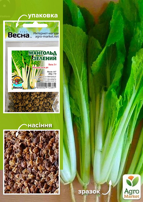 Мангольд зелений (Зипер) ТМ "Весна" 3г