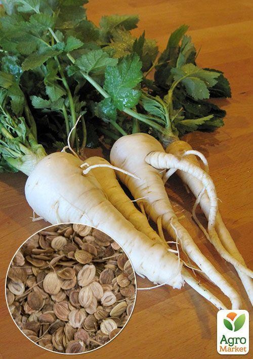 На развес Пастернак ТМ "Весна" цена за 5г