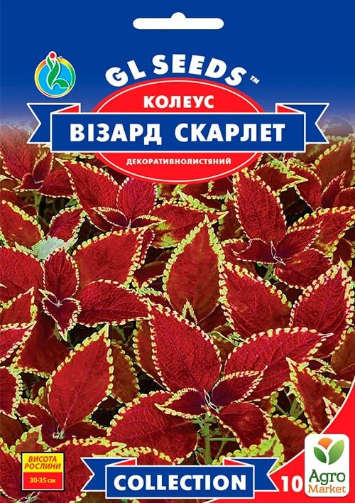 Колеус "Візард Скарлет" ТМ "GL Seeds" 10шт 