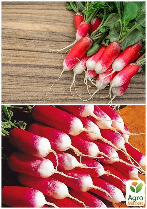 На развес Редис "Силезия" ТМ "Весна" цена за 10г - фото 4