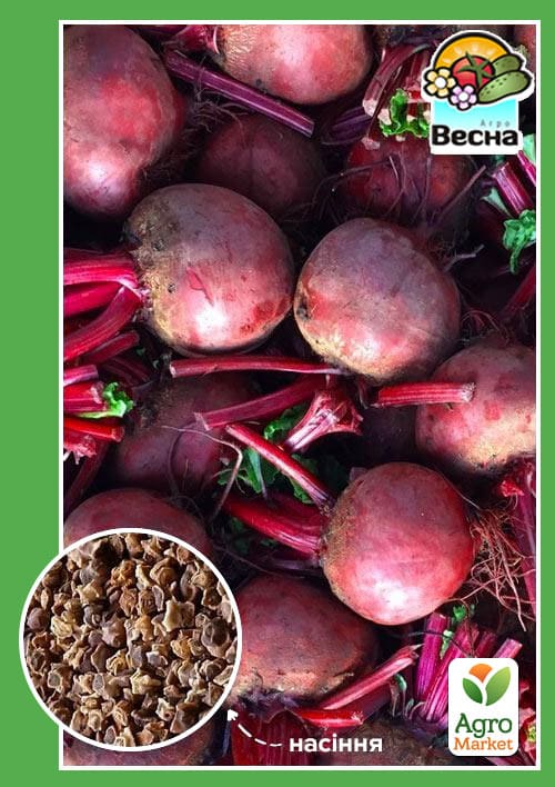 Буряк "Круглий темно-червоний" ТМ "Весна" 2г