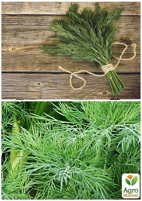 На развес Укроп "Ажурный" ТМ "Весна" цена за 20г - фото 3