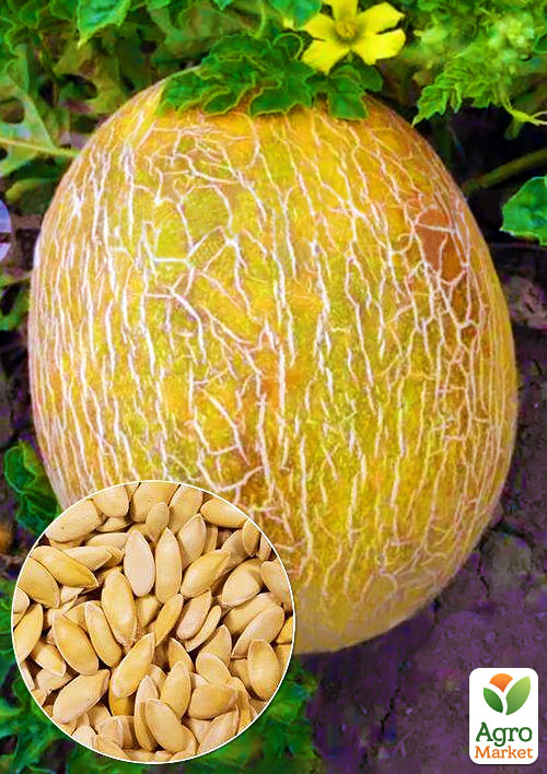 На развес Дыня "Престиж" ТМ "Весна" цена за 6г