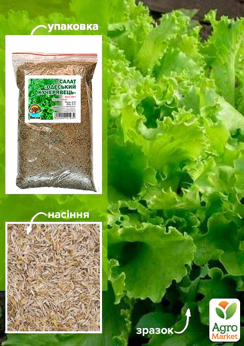 Салат "Одеський кучерявець" ТМ "Весна" 500г
