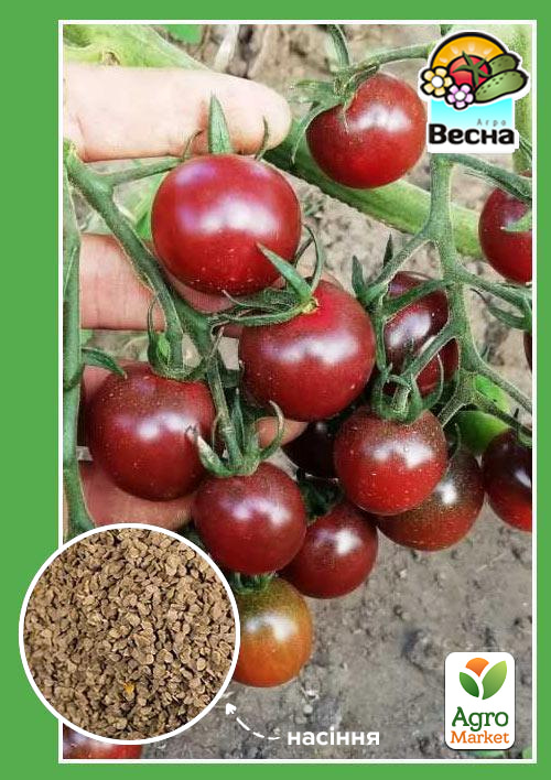 Томат "Черри черный" ТМ "Весна" 0.1г