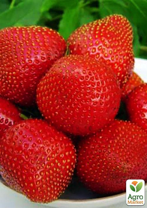 Эксклюзив! Клубника темно-вишневая "Украшение сада" (Decorating the garden) (премиальный высокоурожайный сорт)