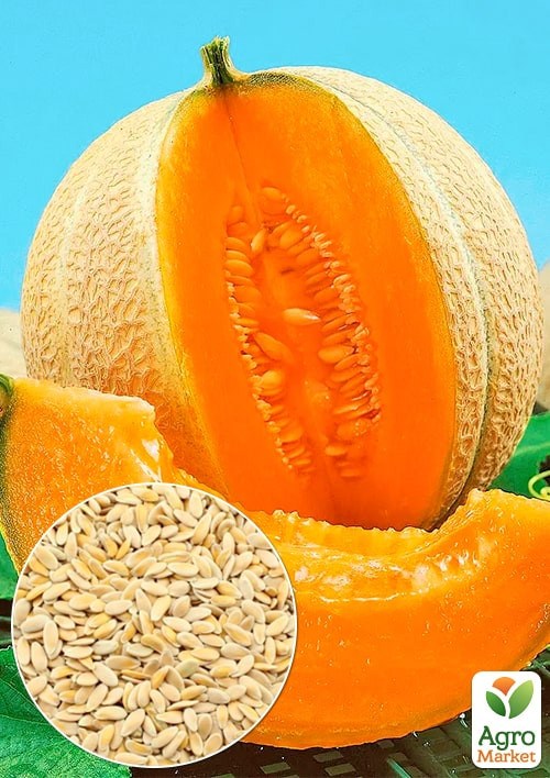 На развес Дыня "Искушение" ТМ "Весна" цена за 5г