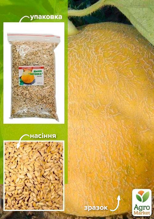 Дыня "Титовка" ТМ "Весна" 500г