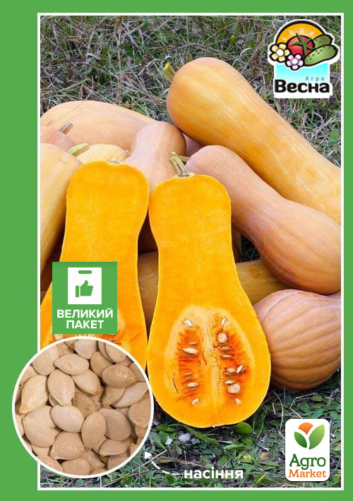 Гарбуз "Арабатський" (Великий пакет) ТМ "Весна" 4г