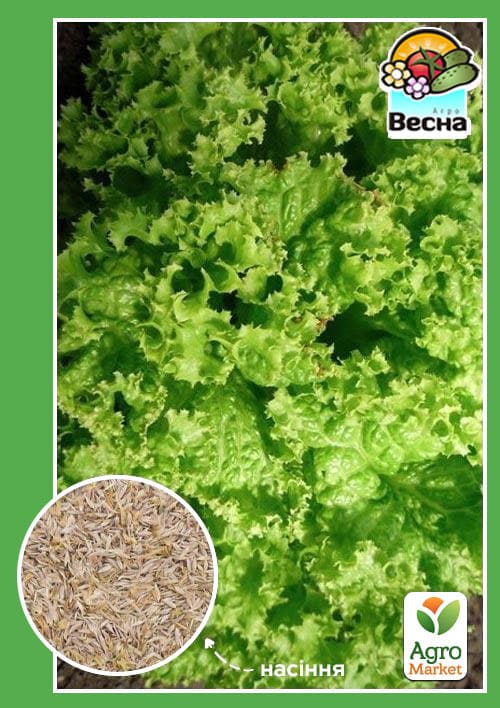 Салат "Лолло Біонда" ТМ "Весна" 1.5г