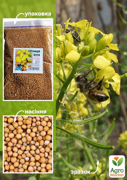 Горчица белая ТМ "Весна" 500г