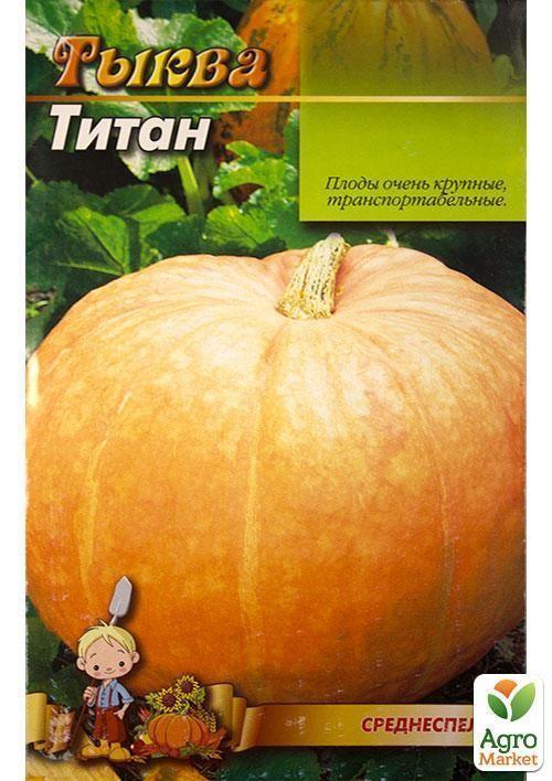 Тыква "Титан" (Большой пакет) ТМ "Весна" 4г - фото 2