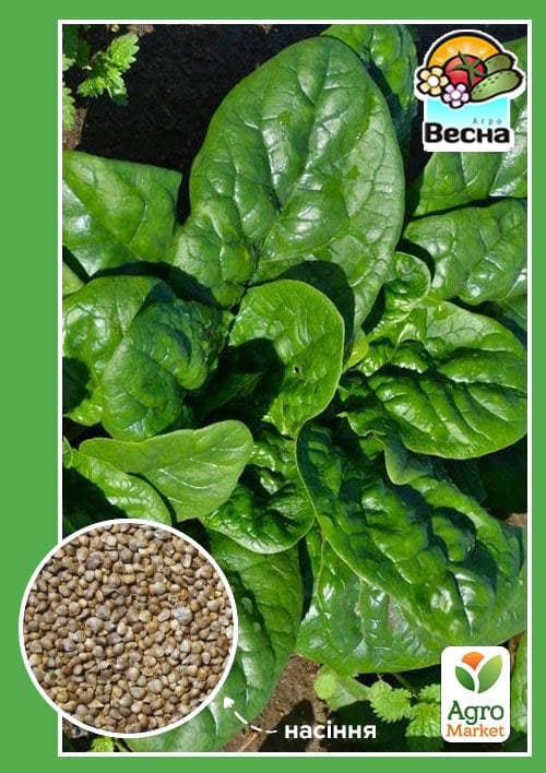 Шпинат ТМ "Весна" 2г