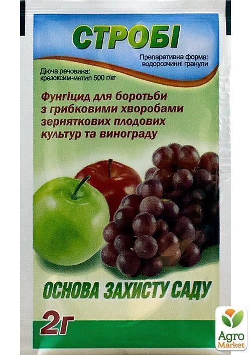 Фунгіцид "Строби" ТМ "Сімейний сад" 2г