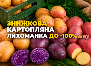 Знижкова картопляна лихоманка до -100%
