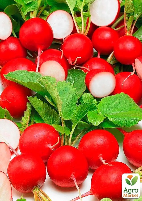 На развес Редис "Романо" ТМ "Весна" цена за 10г - фото 2