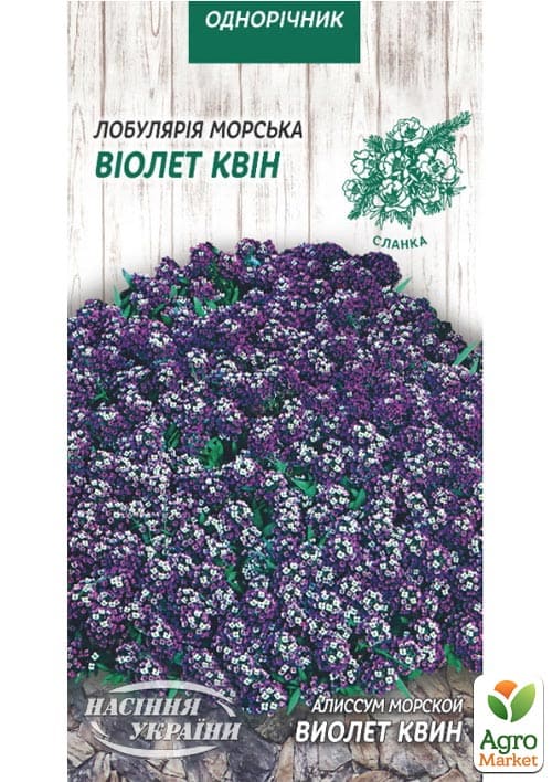 Аліссум "Віолет Квін" ТМ "Насіння України" 0.1г