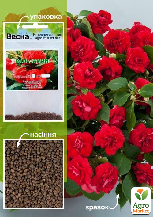Бальзамін махровий червоний (Зипер) ТМ "Весна" 1г