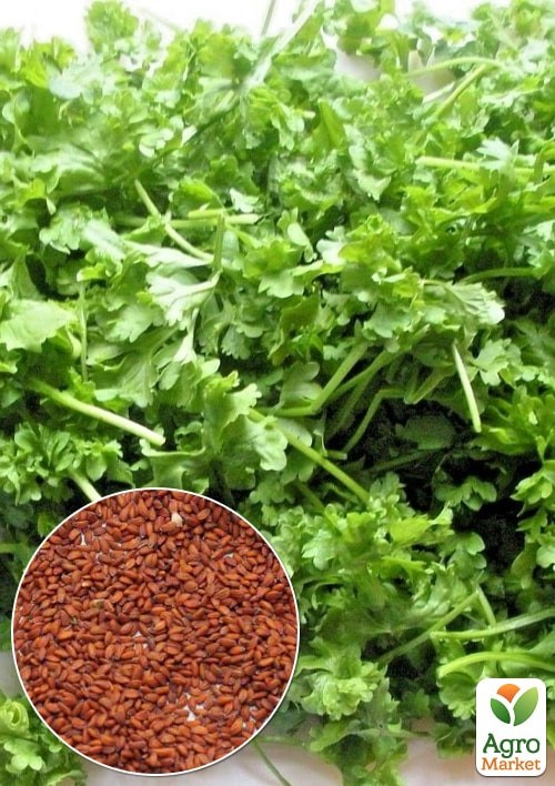 На развес Кресс-салат "Ажур" ТМ "Весна" цена за 3г