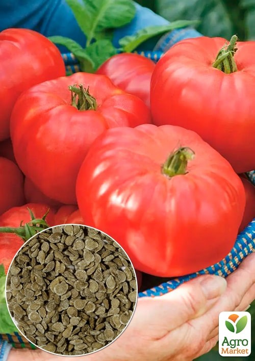 На развес Томат "Мастер" ТМ "Весна" цена за 1г