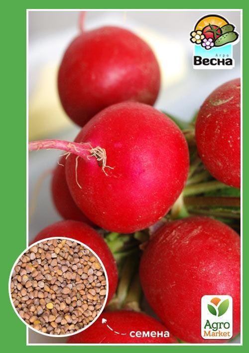 Редис "Чупа Чупс" (Новый пакет) ТМ "Весна" 2г