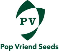 Pop vriend seeds