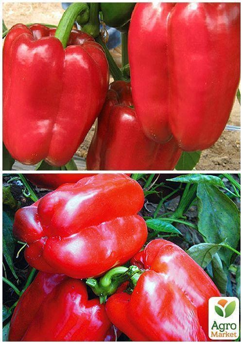 На вагу Перець "Дивосвіт червоний" ТМ "Весна" ціна за 1г - фото 4