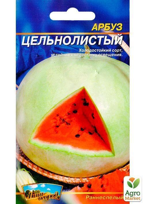 Кавун "Цільнолистий" (Великий пакет) ТМ "Весна" 4г - фото 2