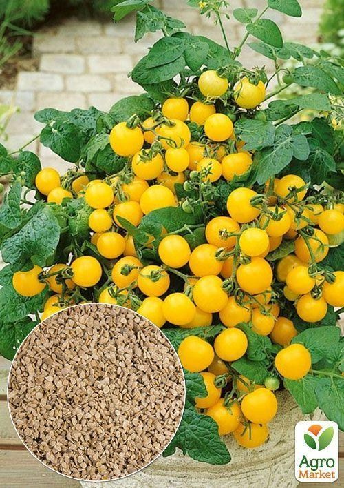 На развес Томат "Черри золотой" ТМ "Весна" цена за 1г