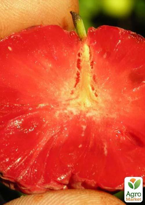 Эксклюзив! Клубничное дерево "Симфония вкуса" (Кудрания, перекрёстное опыление) - фото 2