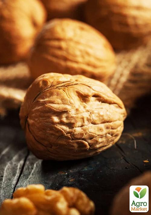 Грецкий орех "Буковинская бомба" (средний срок созревания) - фото 5