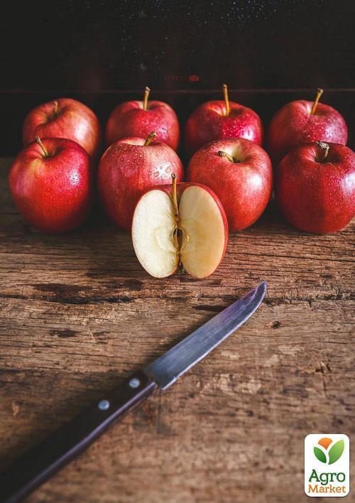 Яблоня "Джонаголд Декоста" (зимний сорт, поздний срок созревания) - фото 5