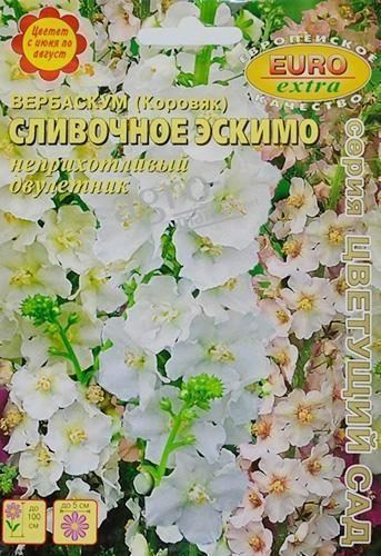 Вербаскум (коровяк) "Сливочное эскимо" ТМ "Аэлита" 0.2г